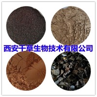 芸香草提取物芸香草浓缩粉芸香草浸膏粉