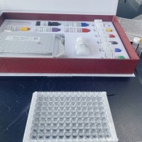 大鼠Ⅳ型胶原ELISA试剂盒