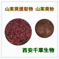 药枣提取物 供应植物提取物山茱萸浓缩浸膏粉