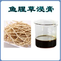 鱼腥草浸膏  鱼腥草提取液