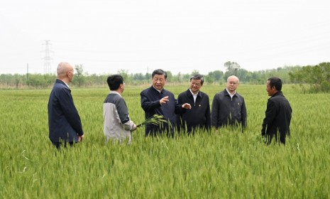 第一观察 | 总书记强调做好盐碱地特色农业大文章