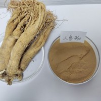 人参提取物  食品原料人参粉