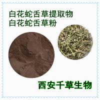 白花十字草提取物白花十字草浓缩浸膏粉