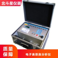 实用快速便携式恶臭气体分析仪pAir2000-EFF-C厂家