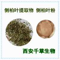 扁柏叶提取物柏子树浓缩浸膏粉 供应植物提取物侧柏叶粉