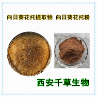 向日葵花托提取物向日葵花托浓缩粉向日葵花托浸膏粉
