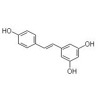 白藜芦醇  501-36-0