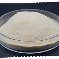 98%富锌酵母 酵母锌 富锌酵母粉