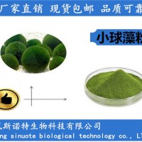 破壁小球藻粉 蛋白质60% 蛋白核小球藻厂家
