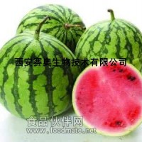 西瓜粉  西瓜提取物