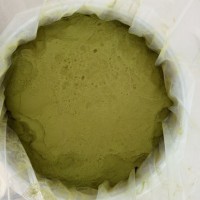 大麦苗提取物 大麦苗粉