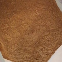 榆树皮提取物