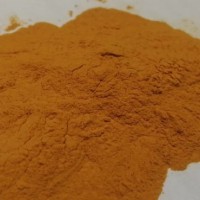 木瓜提取物 水溶性木瓜粉