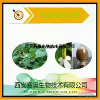 鱼腥草提取物 肺形草提取物 臭腥草提取物