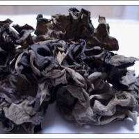 木耳提取物 黑木耳提取物