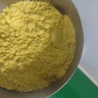 沙棘粉-沙棘提取物-沙棘果粉