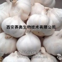 大蒜提取物 10:!1纯粉