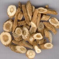 板蓝根浓缩粉-板蓝根提取物