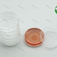 上海晶安35mm激光共聚焦显微镜细胞培养皿（玻底小皿）