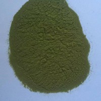 芹菜提取物 芹菜浓缩粉  芹菜素