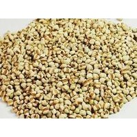 薏米提取物 薏米仁提取物