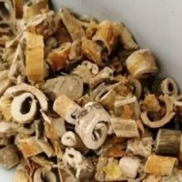 桑白皮提取物 桑白皮浓缩粉 桑白皮浸膏粉