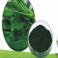 叶绿素铜钠盐添加量食品级水溶叶绿素铜钠盐