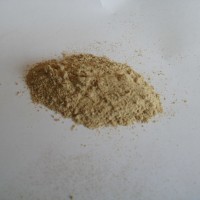 人参提取物   人参皂甙10%  人参茎叶提取物