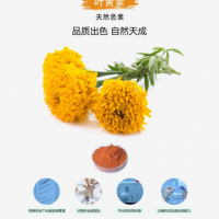 叶黄素色素lutein食品分类号14.06.03