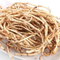 鱼腥草提取物-厂家  鱼腥草浓缩粉