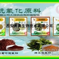 黄芪提取物  板蓝根提取物  菊花提取物  石膏提取物