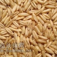 燕麦提取物 燕麦子提取物 燕麦草提取物