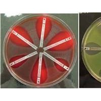 AB BIOMERIEUX 梅里埃 ETEST细菌敏感性测试纸条-
