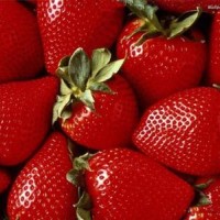 草莓提取物 草莓粉