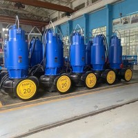南京蓝深WQ150-22-22提升泵 自耦安装