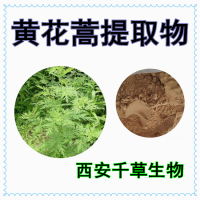 黄香蒿提取物 供应植物提取物黄花蒿浓缩浸膏粉