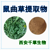田艾提取物 供应植物提取物鼠曲草浓缩浸膏粉