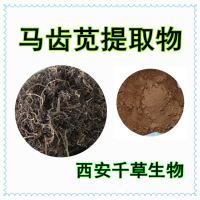 马苋菜提取物马苋菜浓缩粉马苋菜浸膏