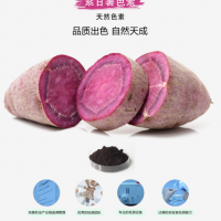 紫甘薯色素供应 食品分类号03.02靖浩生物