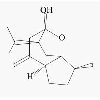 莪术醇；姜黄醇 4871-97-0