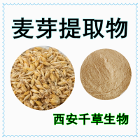 大麦蘖提取物大麦蘖浓缩浸膏粉