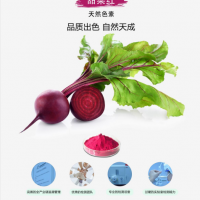 甜菜红色素供应beet red 靖浩生物生产厂家