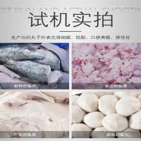 小肉丸厂做鱼丸肉丸的机器 全套做鱼丸肉丸的机器需要哪些机器