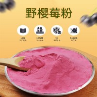 野樱莓果粉 果蔬固体饮料 斯诺特生物定制生产
