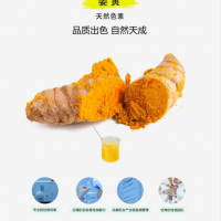 姜黄色素食品分类号04.05.02.01靖浩生物生产厂家