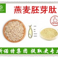 燕麦胚芽肽 燕麦芽肽 85%低聚肽 300-500道尔顿