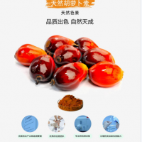 胡萝卜素食品分类号01.05珠海生产厂家供应