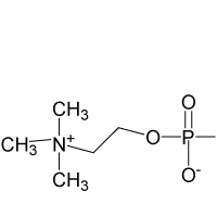 N-1-13C-Hexadecanoyl-sphingosylphosphorylcholine