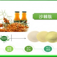 沙棘肽厂家 水溶清澈  现货供应