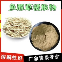 鱼腥草提取物  生产量大  水溶鱼腥草粉